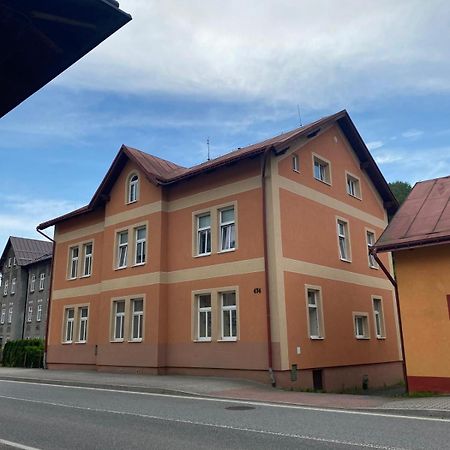 Horsky Apartman Desna - Jizerky Extérieur photo